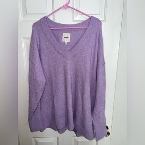 Aerie Lavender V-Neck Sweater